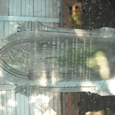 BELL Frank Winter -1893