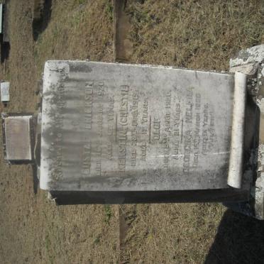 ERICKSON Gustaf -1920 :: ERICKSON Georgina Melena -1950 :: ERICKSON Olof -1920 :: ERICKSON Kerstin -1919