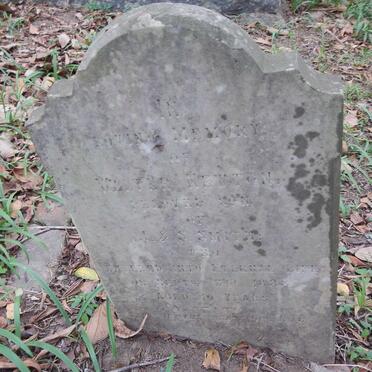 SMITH Walter Newton -1888