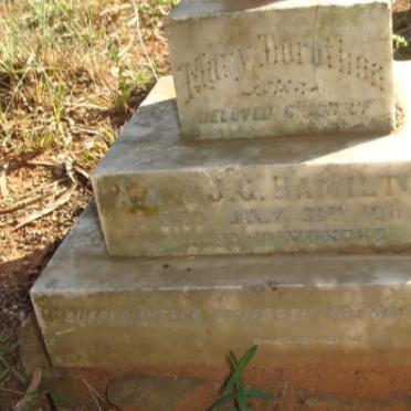 HAMILTON Mary Dorothea 1910-1911