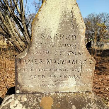 M-Surnames _ Vanne-M