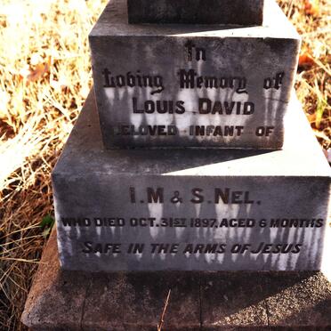 NEL Louis David -1897