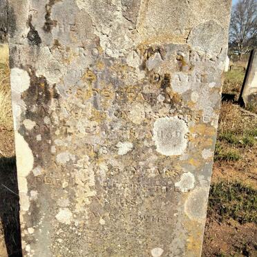 SIMS Thomas Robenia -1877