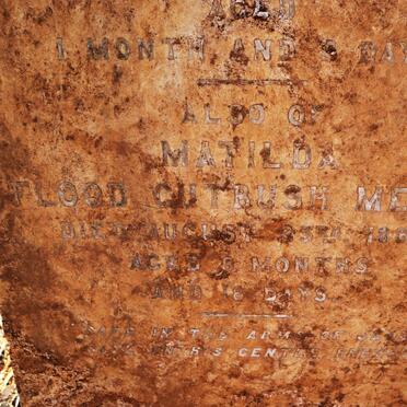 TISSIMAN Annie Ellen -1882 :: MEEK Matilda Flood Cutbush -1883_2