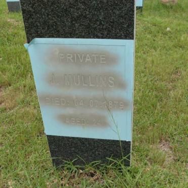 MULLINS J. -1879