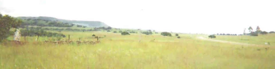 1. Overview
