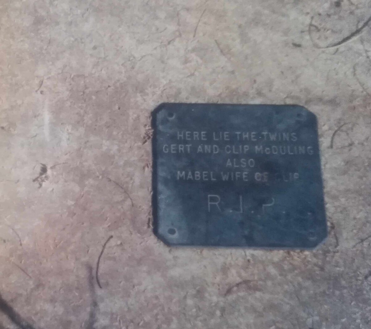 MCDULING Clip & Mabel :: MCDULING Gert