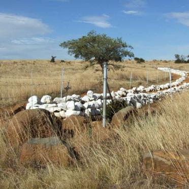 12. British mass graves