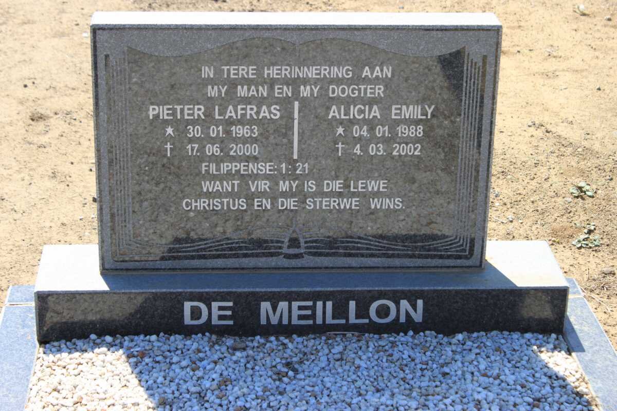 MEILLON Pieter Lafras, de 1963-2000 &amp; Alicia Emily 1988-2002