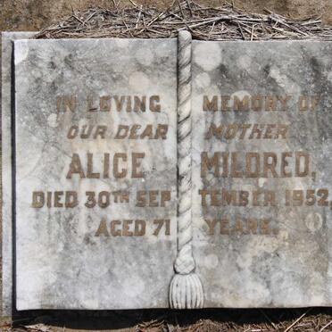 PALMER Albert -1924 &amp; Alice Mildred -1952