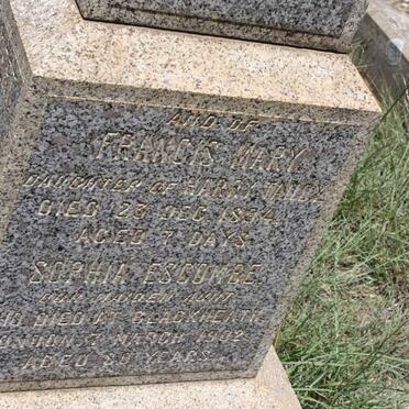 TANDY Francis Mary -1894 :: ESCOMBE Sophia -1902