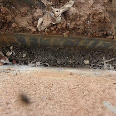 BUTCHER Henry 1896-1977 &amp; Catherina Elizabeth 1901-1971