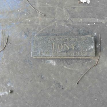 NEVELING Anthonie 1907-1987 &amp; Johanna 1912-1988 :: NEVELING Tony 1933-1989