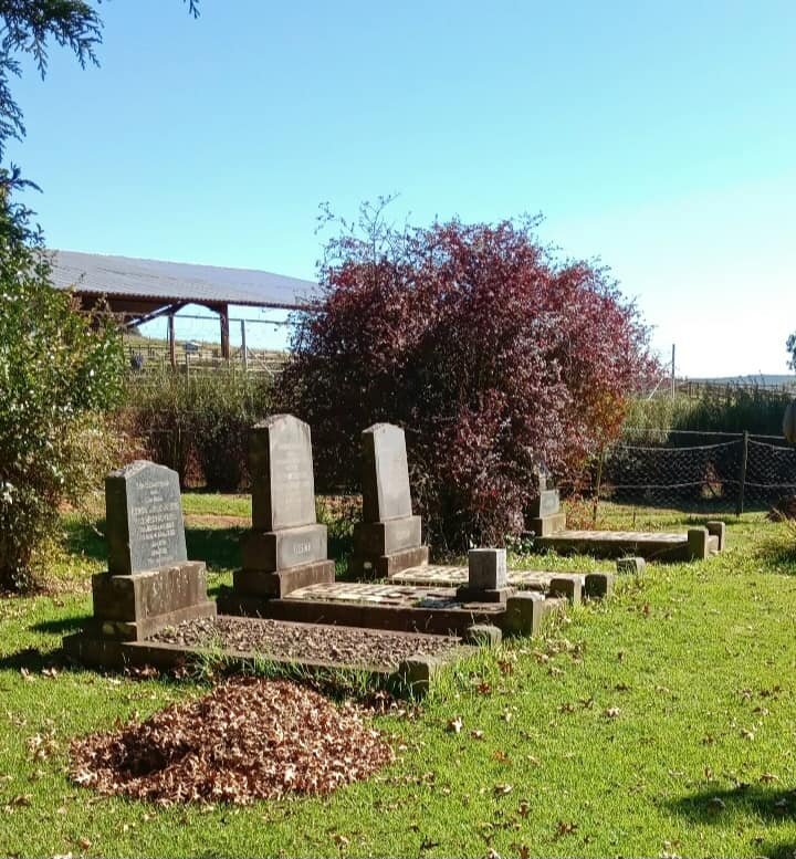 1. Overview / Oorsig