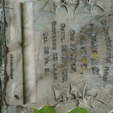 SWANEPOEL Johanna S. nee BROOKS -1919