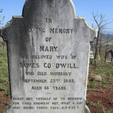 GOODWILL Mary -1885