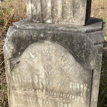 ALLANSON Francis Booth -1903