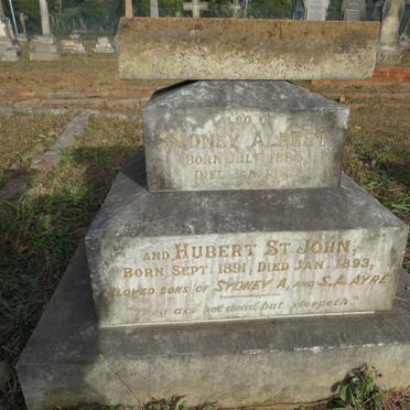 A - Surnames :: Vanne - A