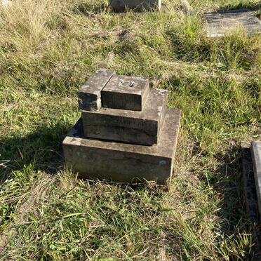 ALLEN Elvira Lydia 1884-1884