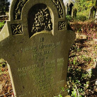 DOW Alex -1924 :: DOW Jeanie -1937 :: DOW Rodney Graham -1937