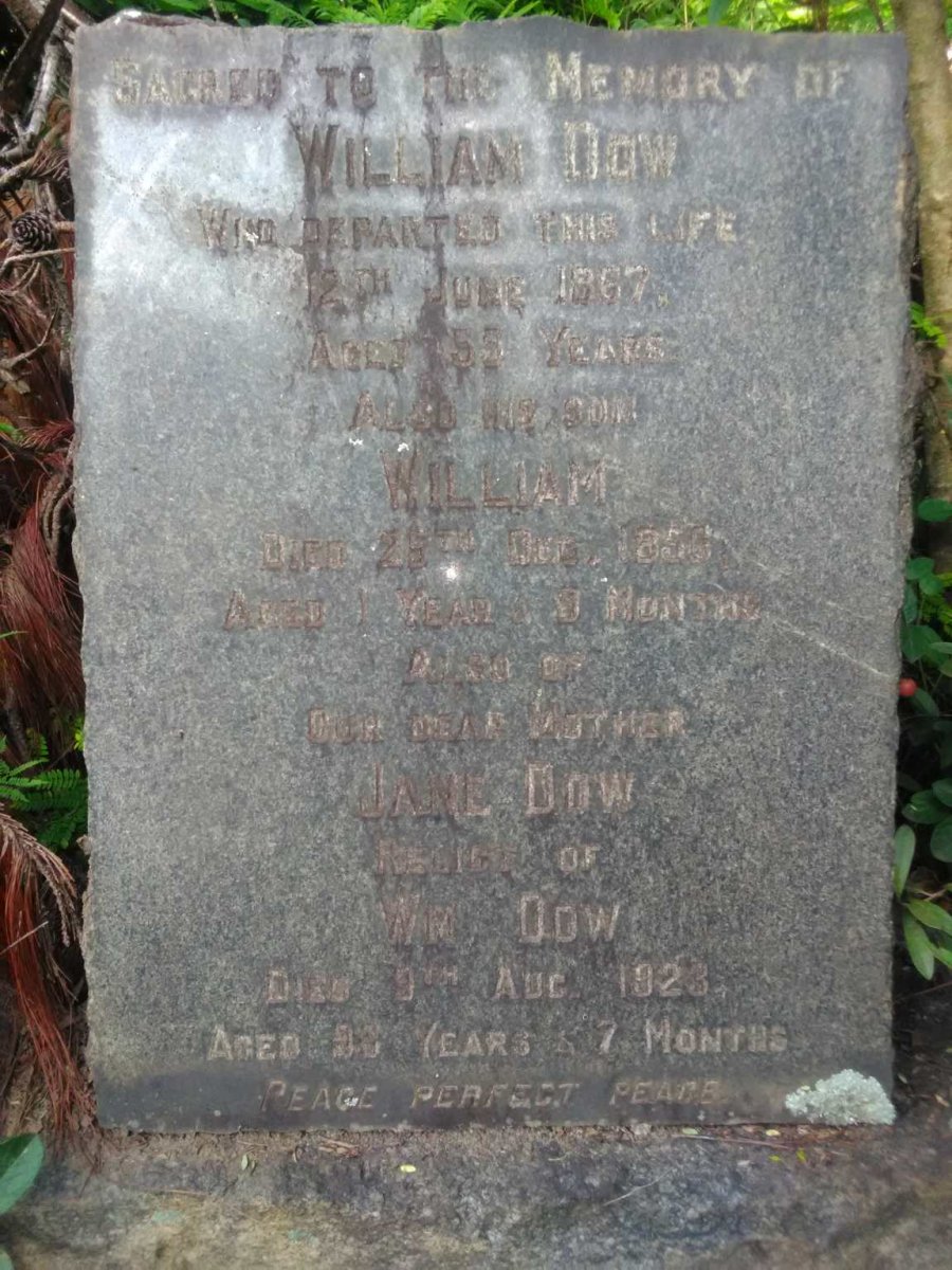 DOW William -1867 & Jane -1923 :: DOW William -1856