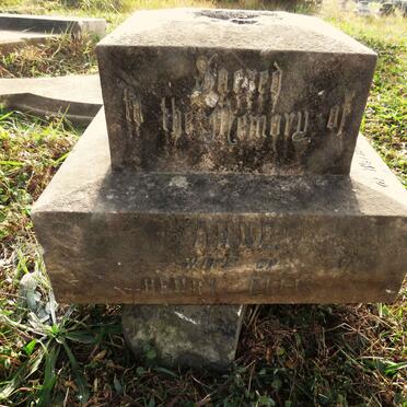 ELLIS Anne 1824-1895_2