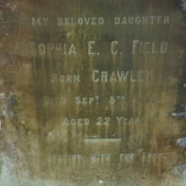 FIELD Sophia E.C. nee CRAWLEY -1882