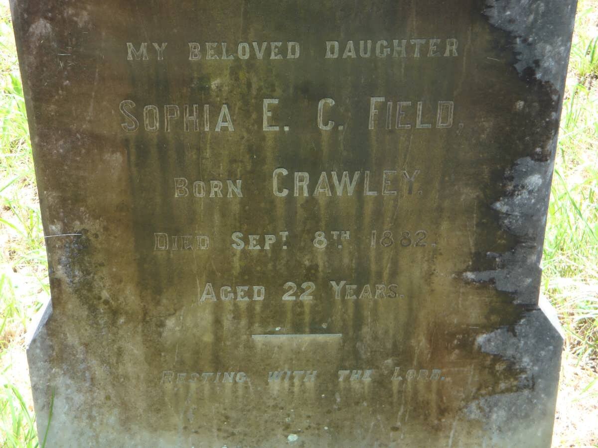 FIELD Sophia E.C. nee CRAWLEY -1882