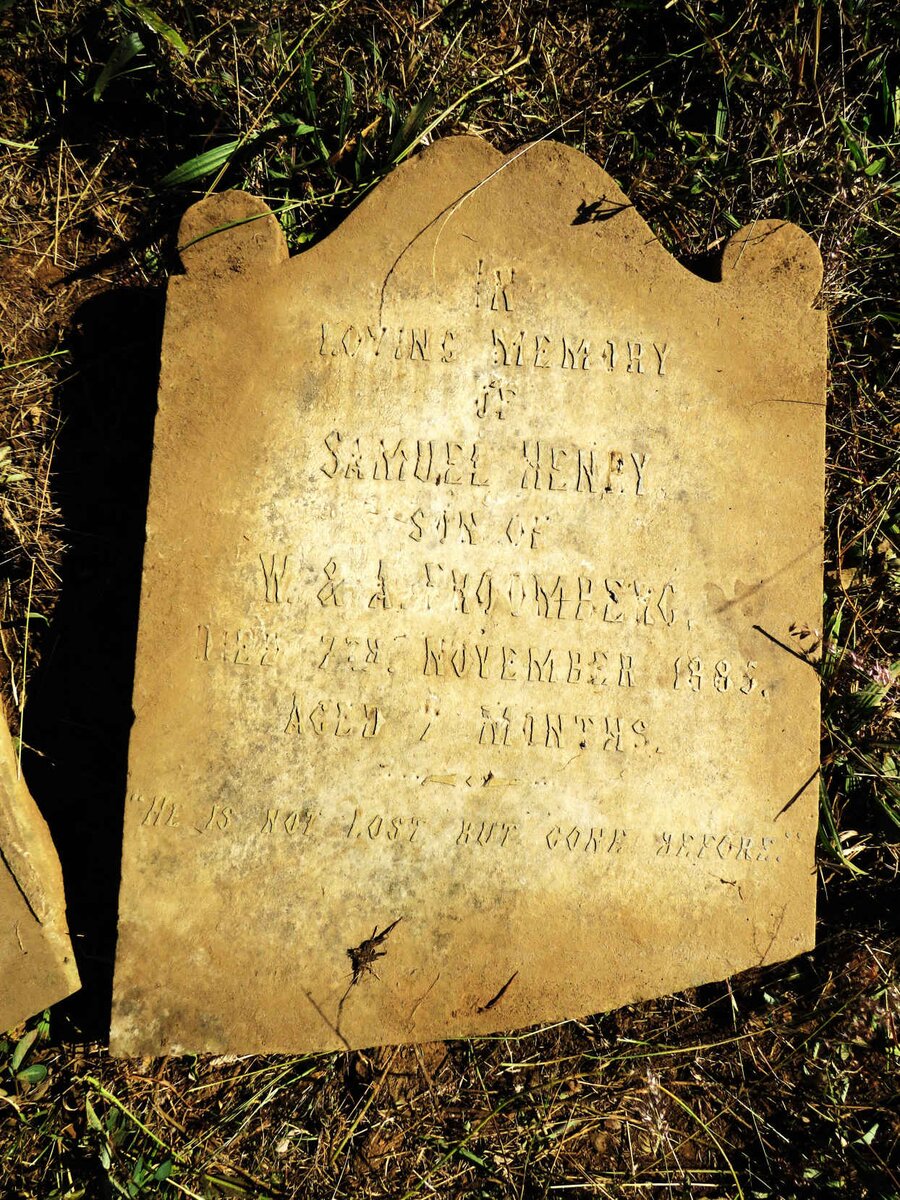 FROOMBERG Samuel Henry -1885