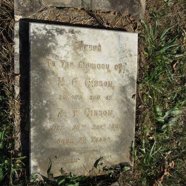 GIBSON H.G. -1881