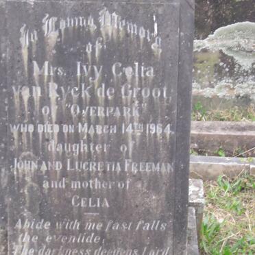 GROOT Ivy Celia van Ryck, de nee FREEMAN -1964