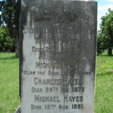 HAYES Annie -1872 :: HAYES Charles -1879 :: HAYES Michael -1881