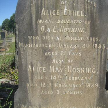 HOSKING Alice Ethel -1883 :: HOSKING Alice May 1889-1889