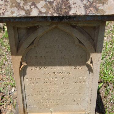 HARWIN Bertie Henry 1877-1877