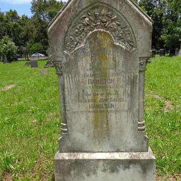 HAMILTON Patrick Francis Joseph Carroll -1902 :: HAMILTON Frederick John Carroll -1919