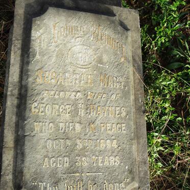 HAYNES Susannah Mary -1894