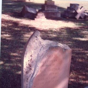 HARDEN Arethusa -1905