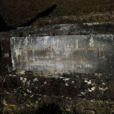 J - Vanne :: Surnames - J