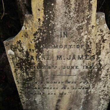 JAMES Anne M. -1881