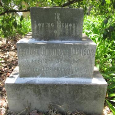 JOHNSON Herbert Rowntree 1871-1892