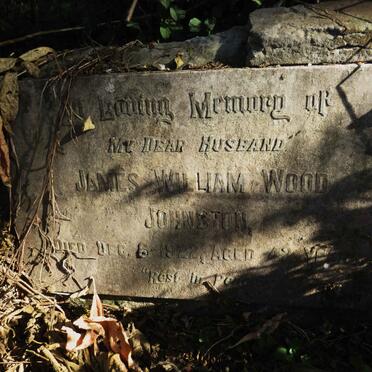 JOHNSTON James William Wood -1922