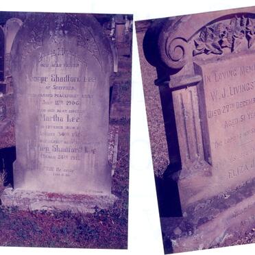 LIVINGSTONE W.J. -1908 :: LEE George Shadford -1906 & Martha -190? :: LEE Sydney Shadford -1912 