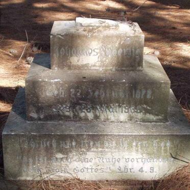 LUDEWIG Johannes 1872-1936