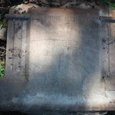 LIVINGSTONE W.J. -1908 &amp; Eliza Jane