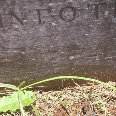 LUMB Samuel -1853 &amp; Fanny -1854