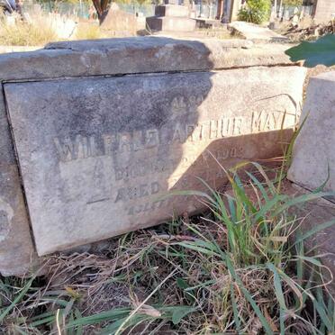 MAY Wilfred Arthur -1903