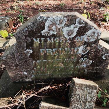 MCGREGOR Freddie -1904