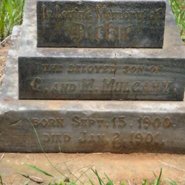 MULCAHY Dirkie 1900-1901 :: MULCAHY Mellie