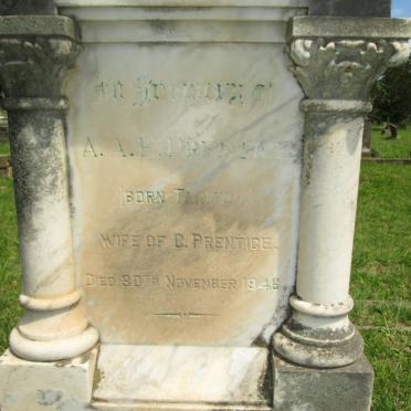 PRENTICE A.A.F. nee TAINTON -1946