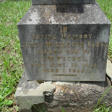 PECHEY James Middleton Baron -1885